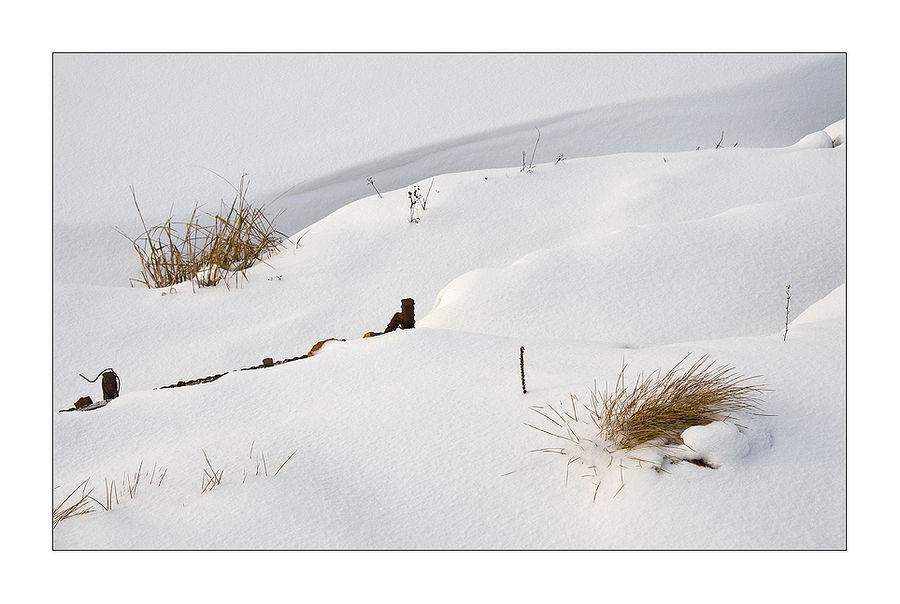 Field, Grass, Grassland, Plant, Ice, Outdoors, Snow