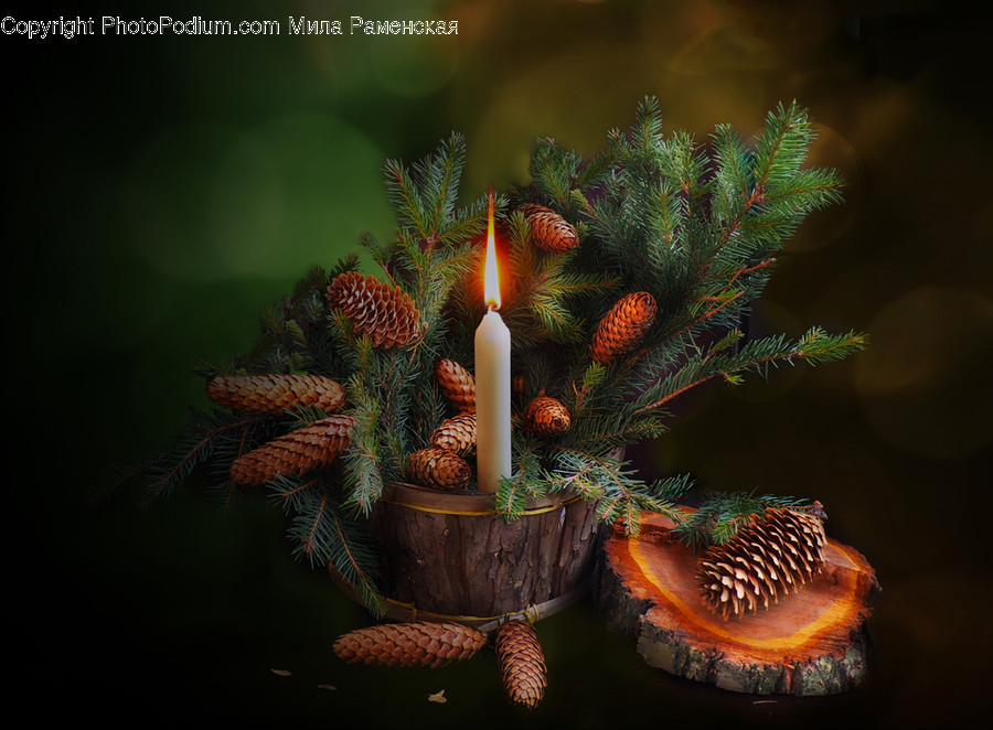 Candle, Fire, Pattern, Ornament, Flame