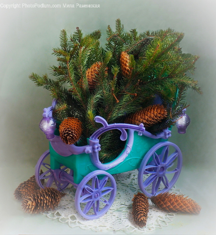 Wagon, Vehicle, Transportation, Plant, Bush