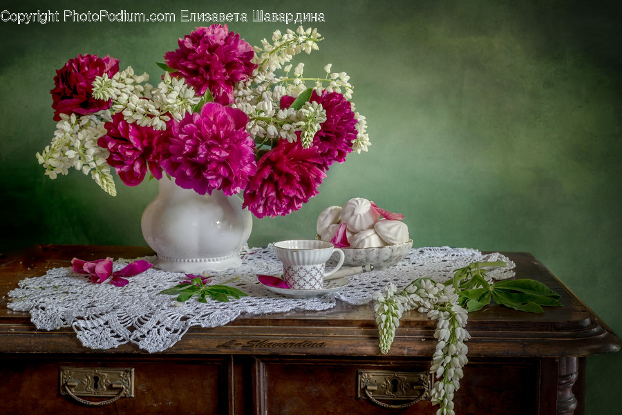 Plant, Flower, Blossom, Flower Bouquet, Flower Arrangement