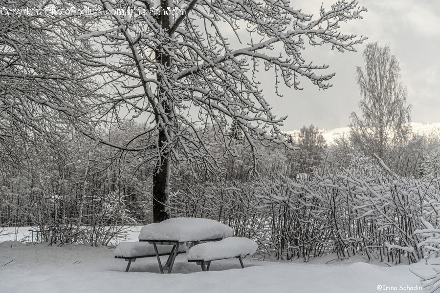 Nature, Outdoors, Snow, Ice, Blizzard