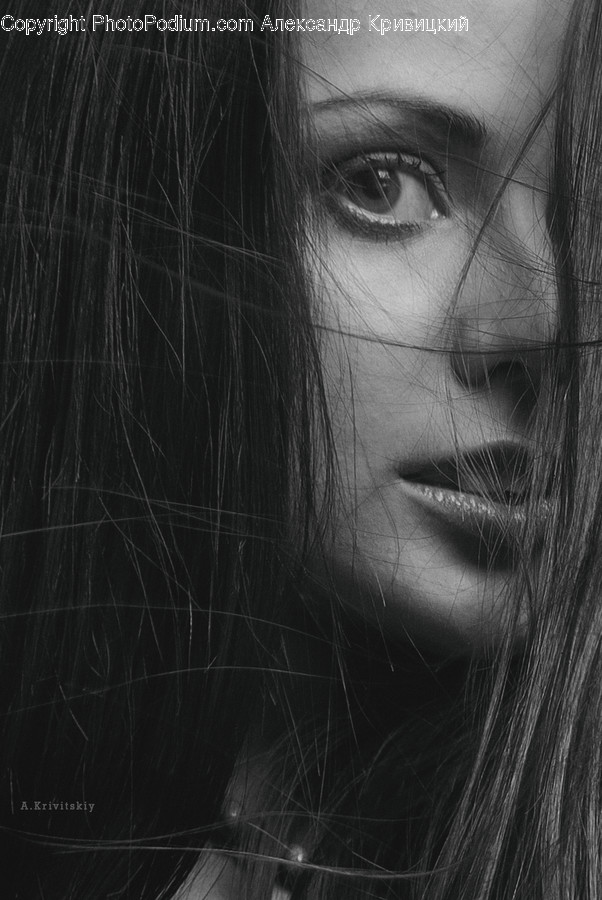Face, Person, Human, Head, Portrait