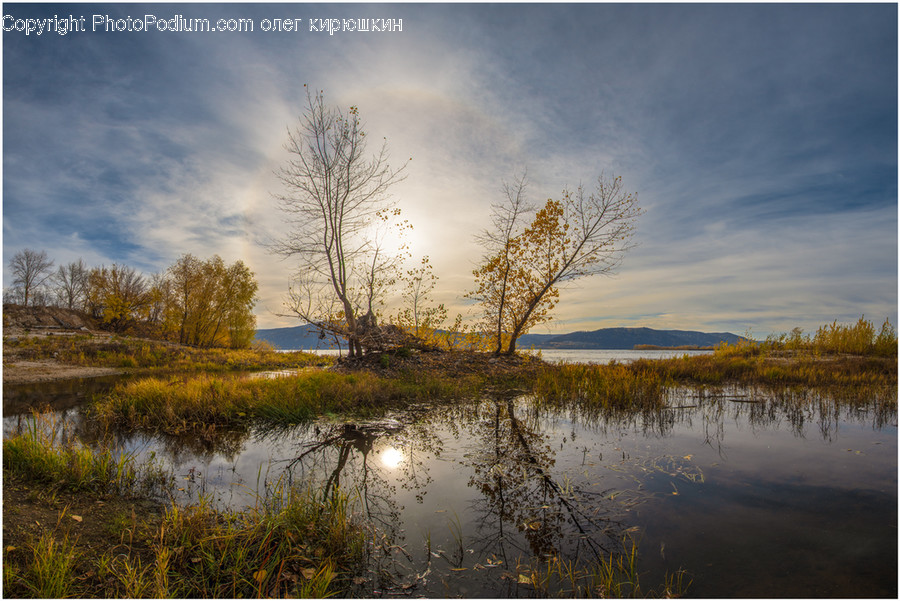 Land, Nature, Outdoors, Water, Swamp