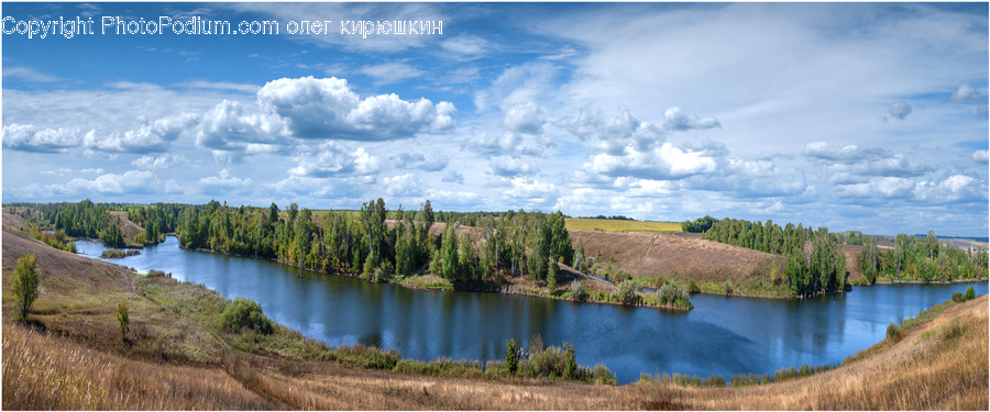 Water, Nature, Outdoors, Fir, Abies