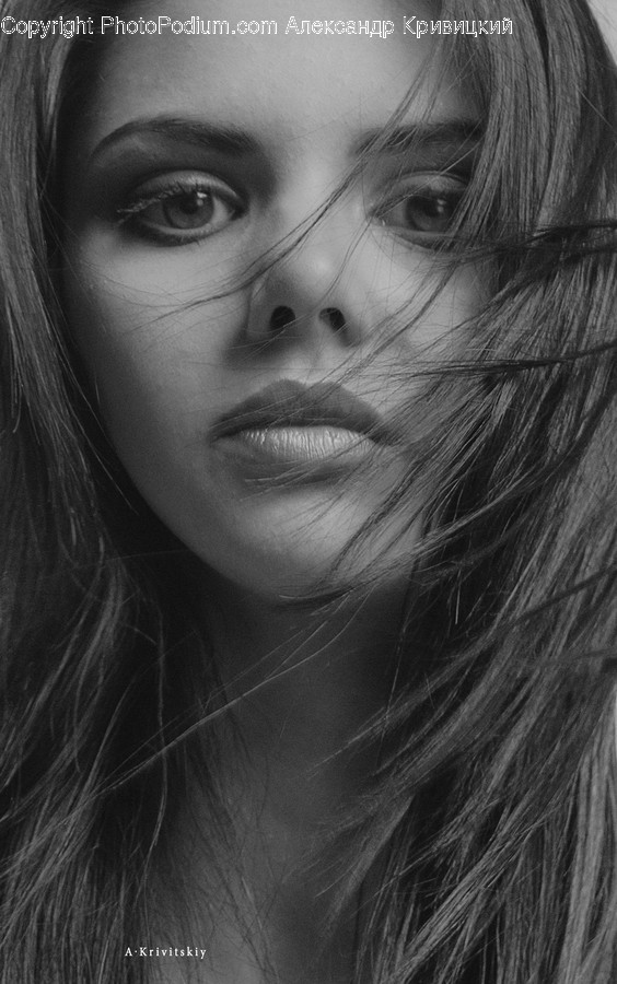 Face, Person, Human, Head, Portrait