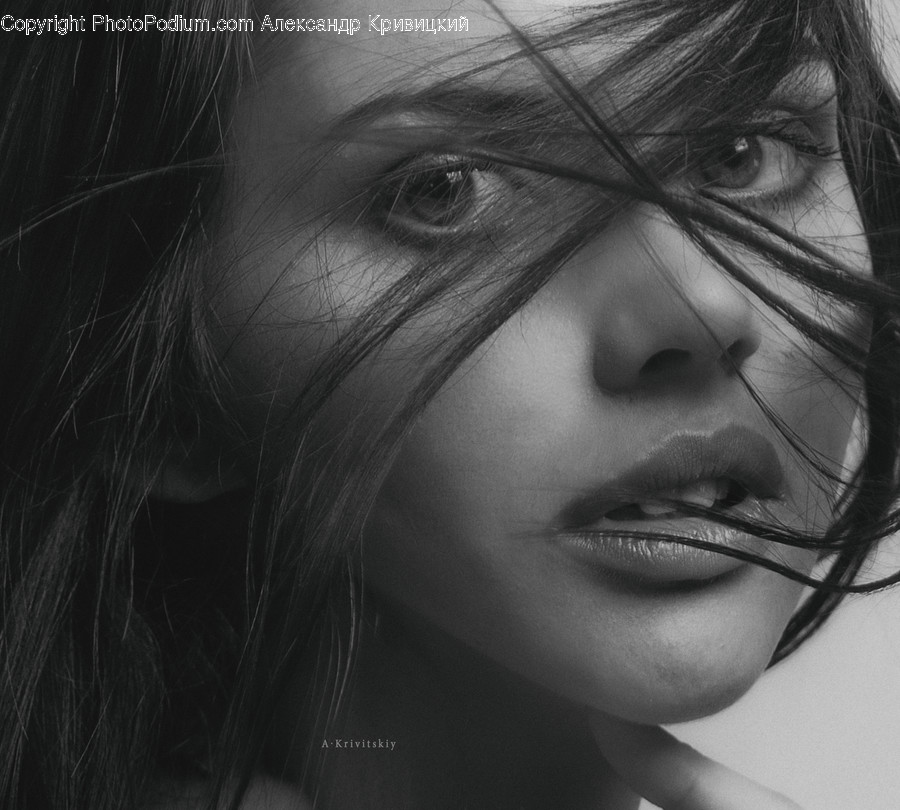 Face, Person, Human, Head, Portrait