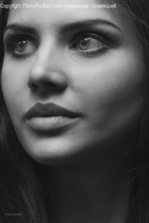 Face, Person, Human, Head, Portrait