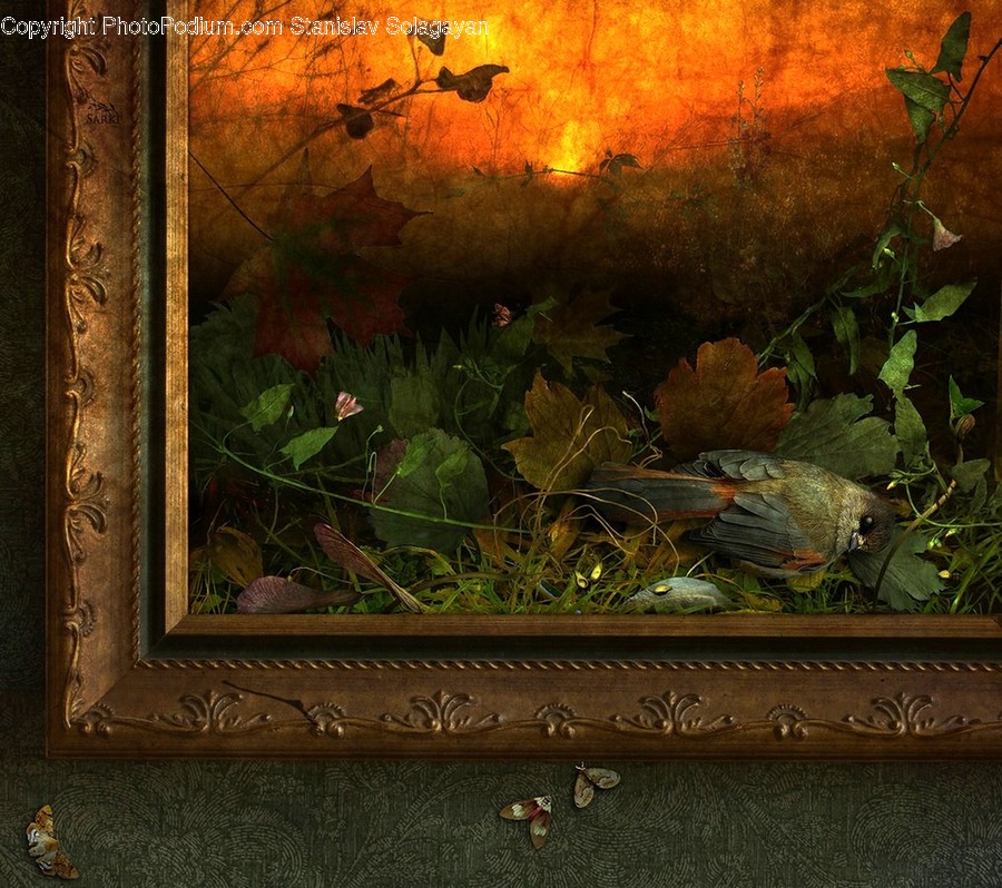 Painting, Art, Leaf, Plant, Bird