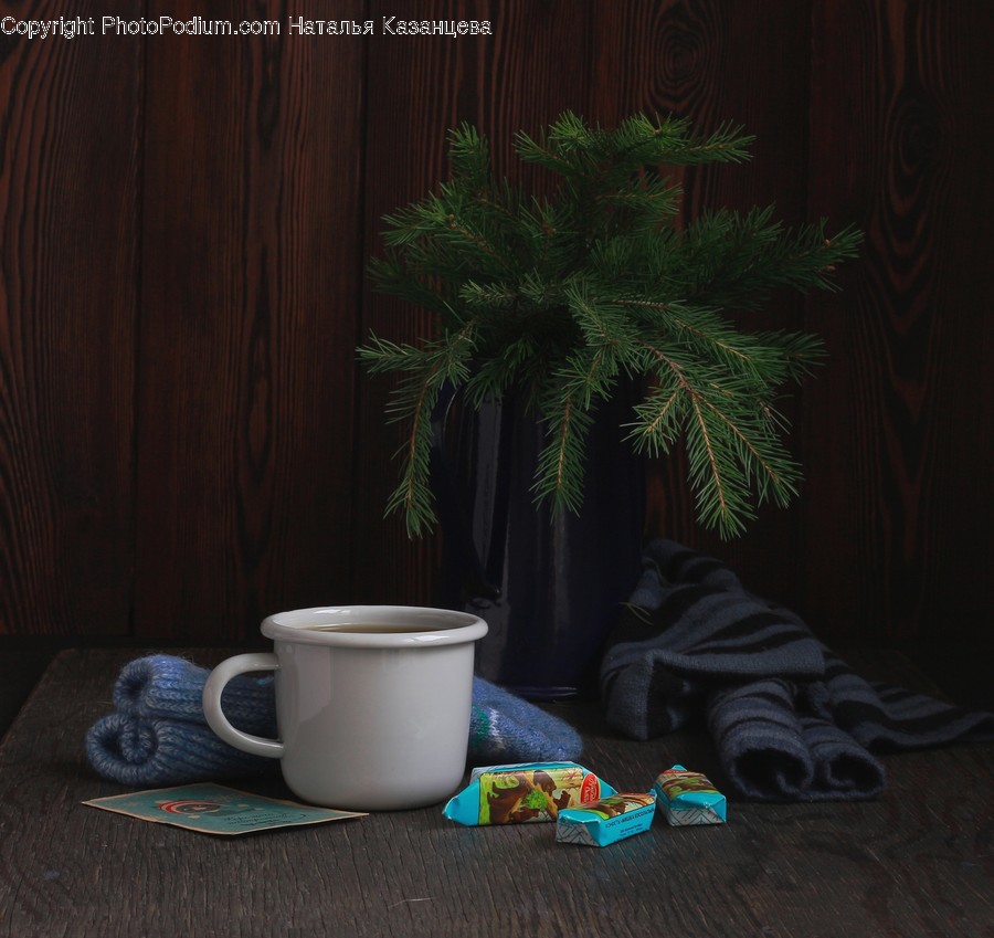 Coffee Cup, Cup, Pottery, Plant, Saucer