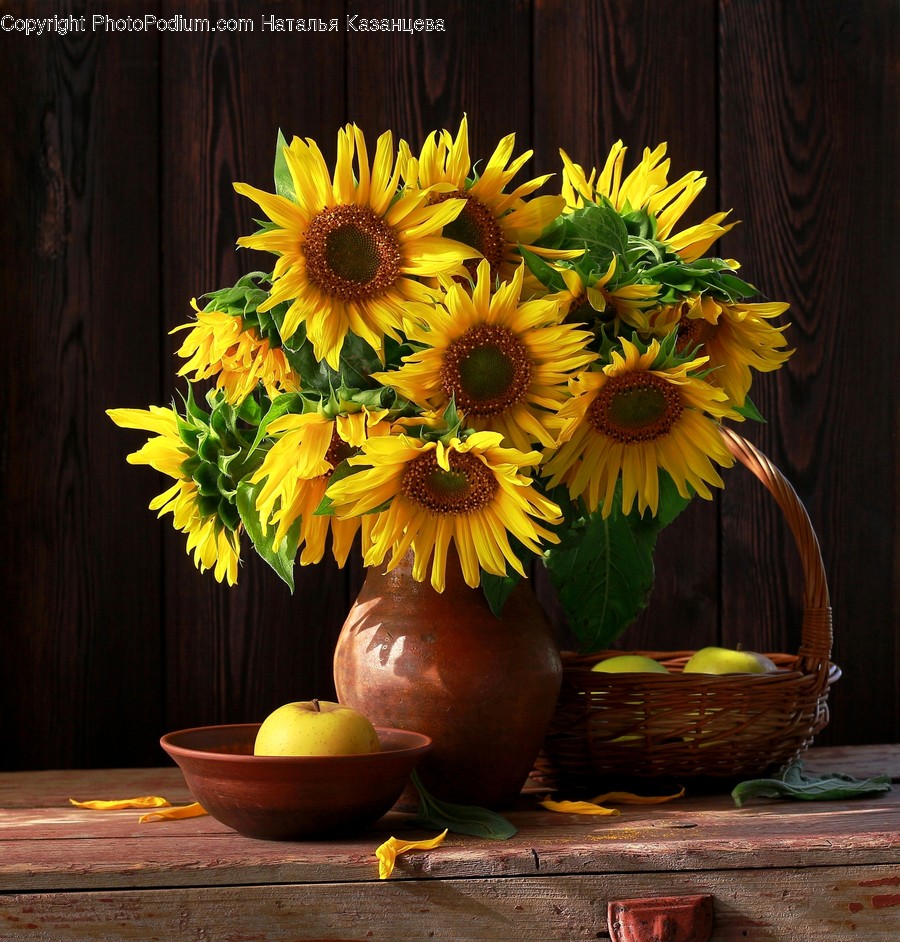 Plant, Flower, Blossom, Flower Bouquet, Flower Arrangement