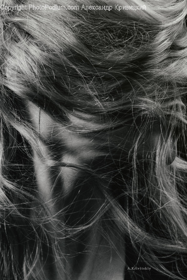 Hair, Person, Human, Face, Animal