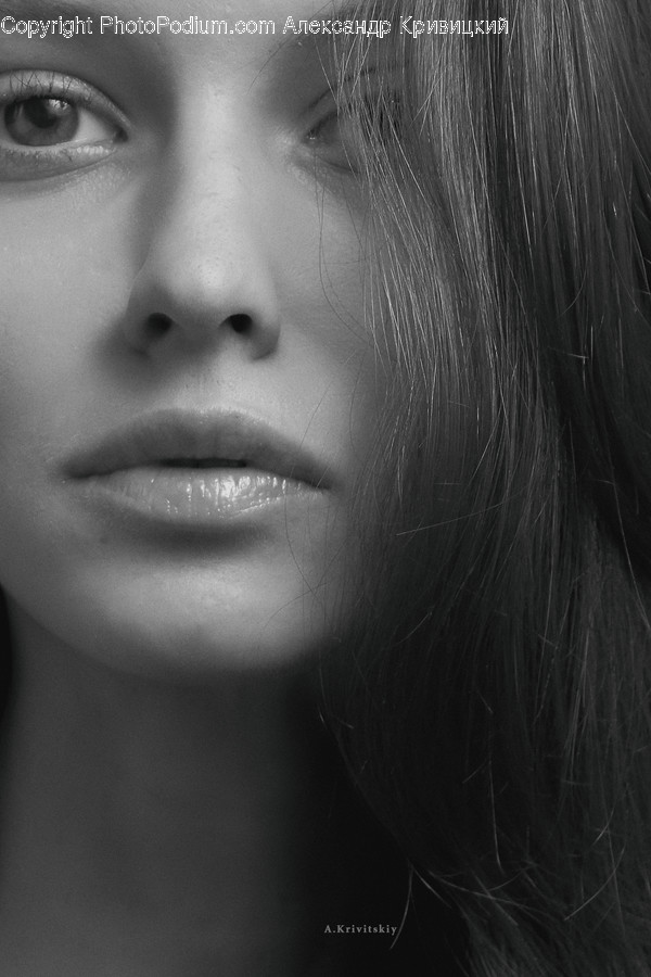 Face, Person, Human, Head, Portrait
