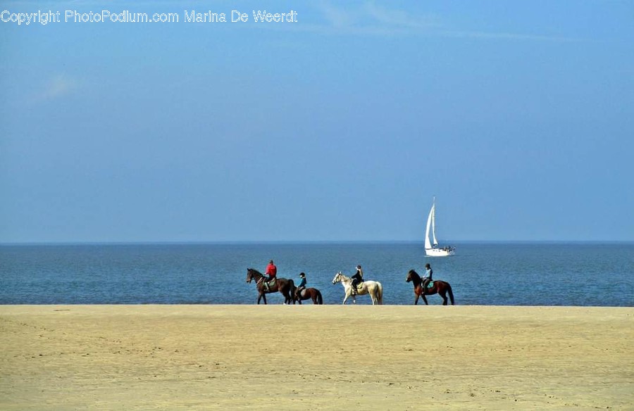 Horse, Mammal, Animal, Boat, Vehicle