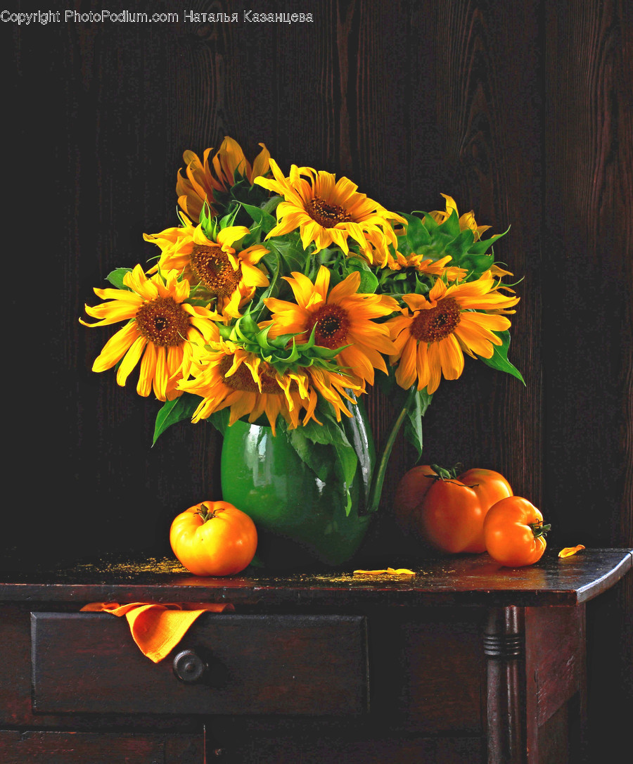 Plant, Flower Bouquet, Flower, Flower Arrangement, Blossom