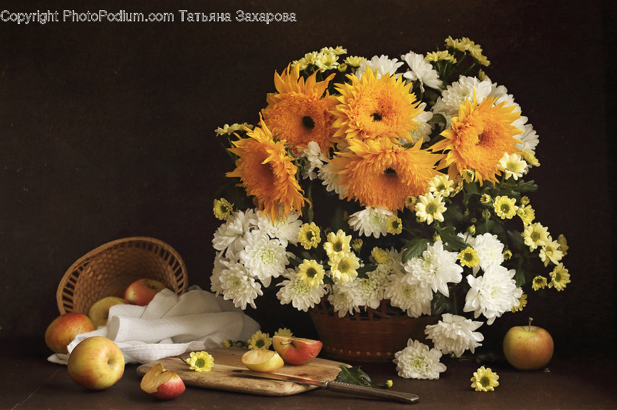 Plant, Flower, Blossom, Flower Arrangement, Flower Bouquet