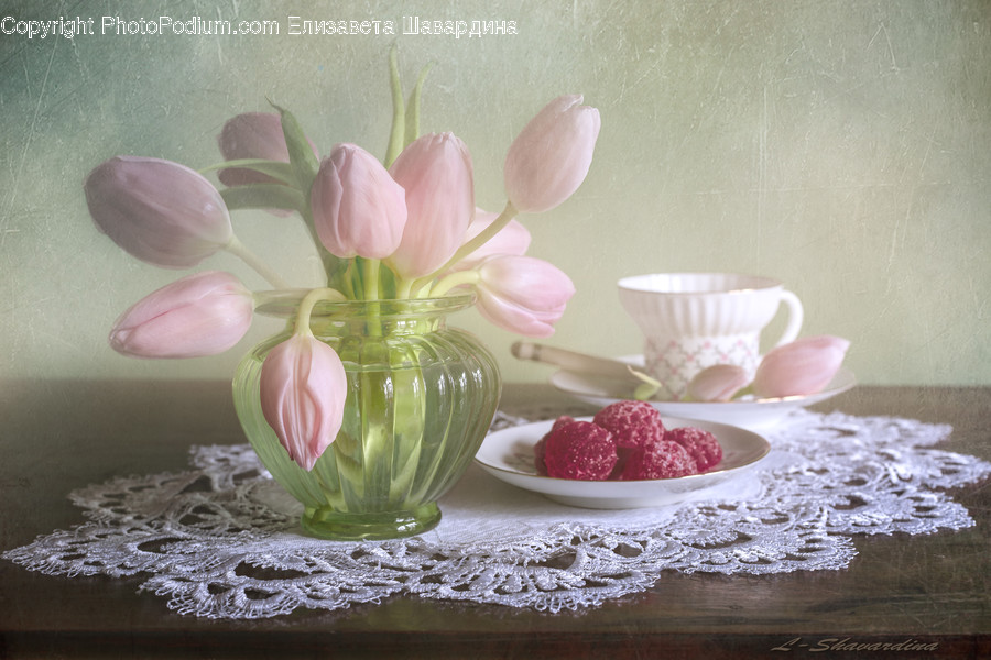 Pottery, Saucer, Plant, Flower, Blossom