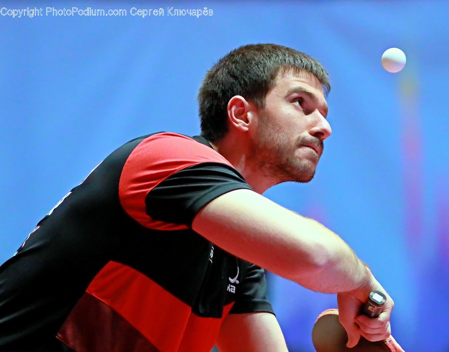Person, Human, Sport, Sports, Ping Pong