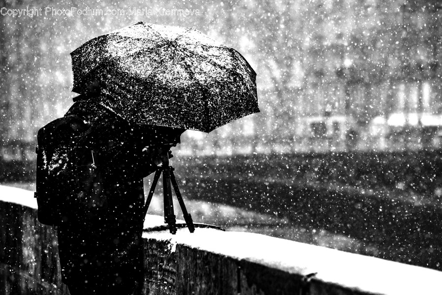 Umbrella, Canopy, Nature, Outdoors