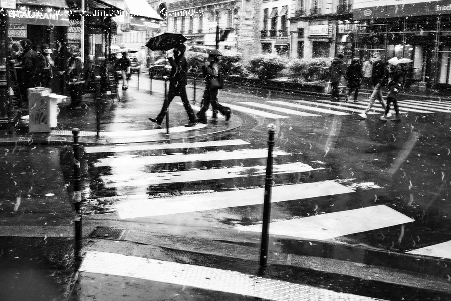 Tarmac, Asphalt, Road, Pedestrian, Person