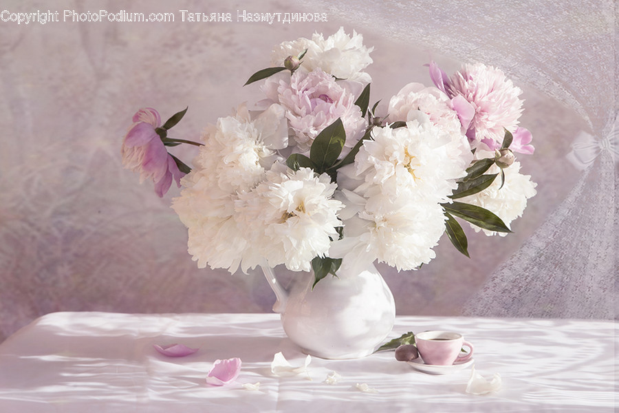 Plant, Flower, Blossom, Flower Bouquet, Flower Arrangement
