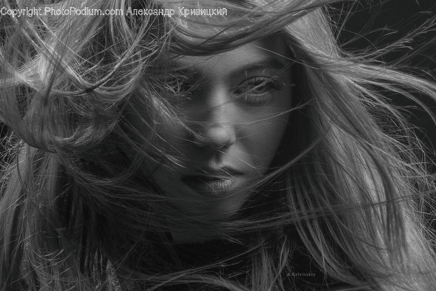 Face, Person, Human, Hair, Portrait