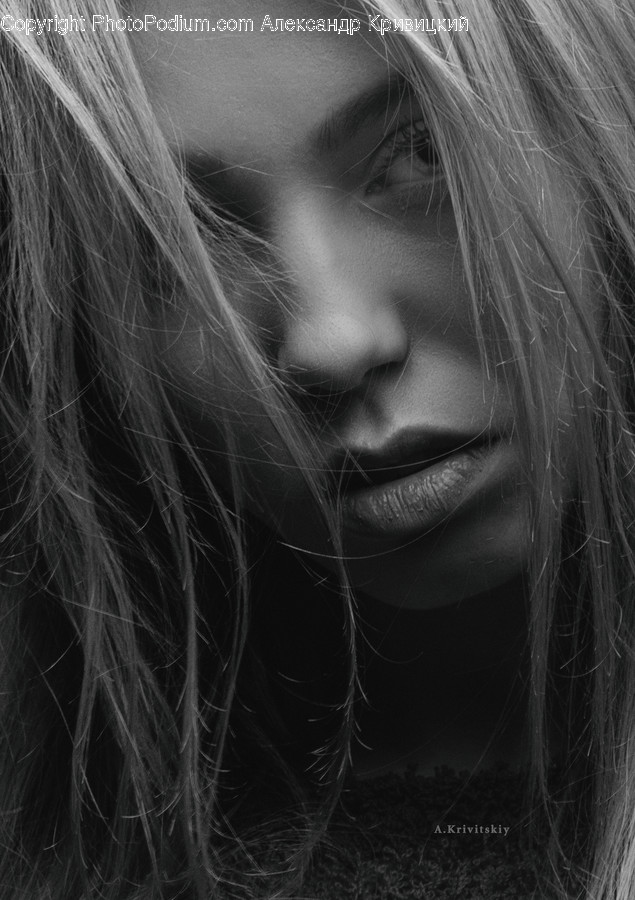 Face, Person, Human, Hair, Female