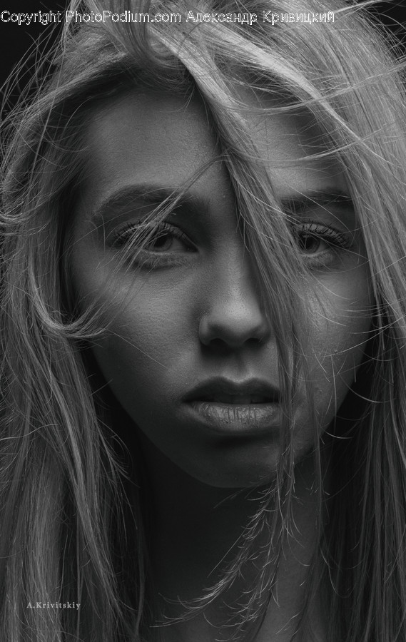 Face, Person, Human, Head, Portrait