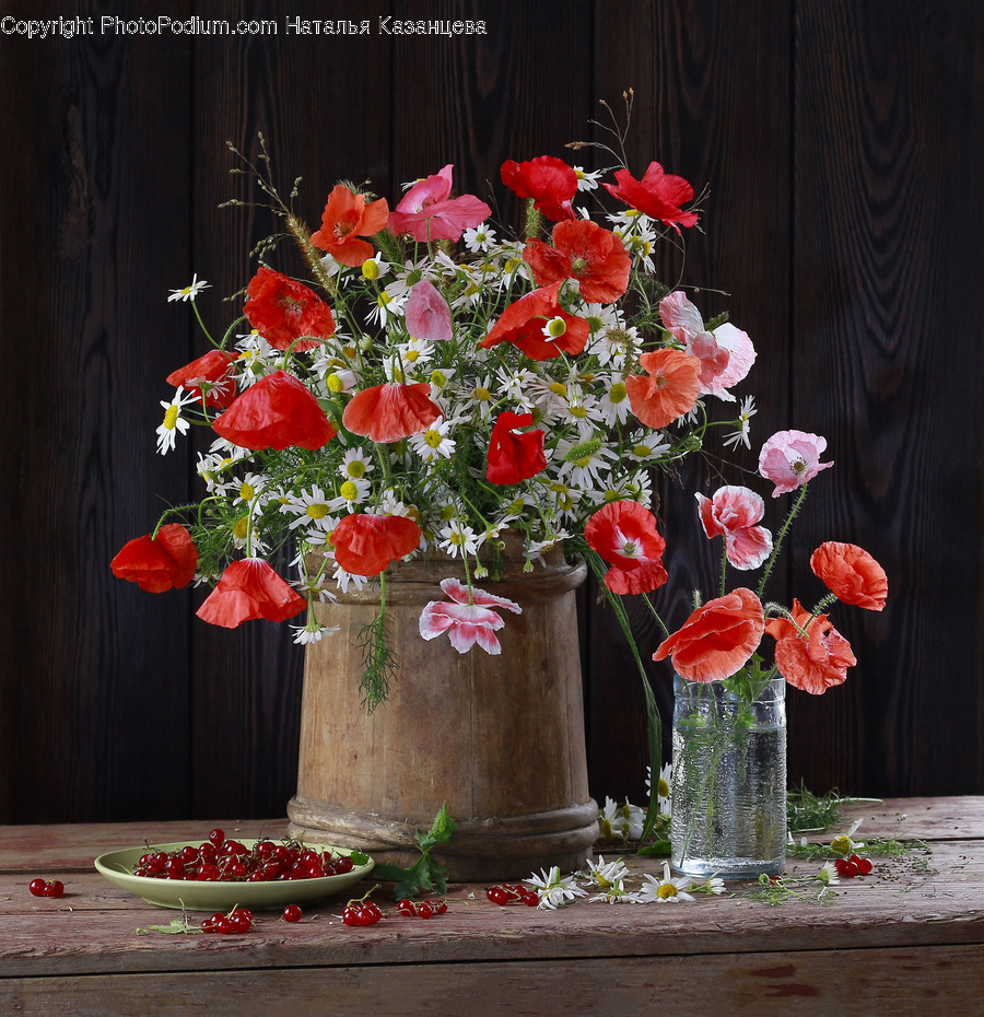 Plant, Flower, Blossom, Flower Arrangement, Flower Bouquet