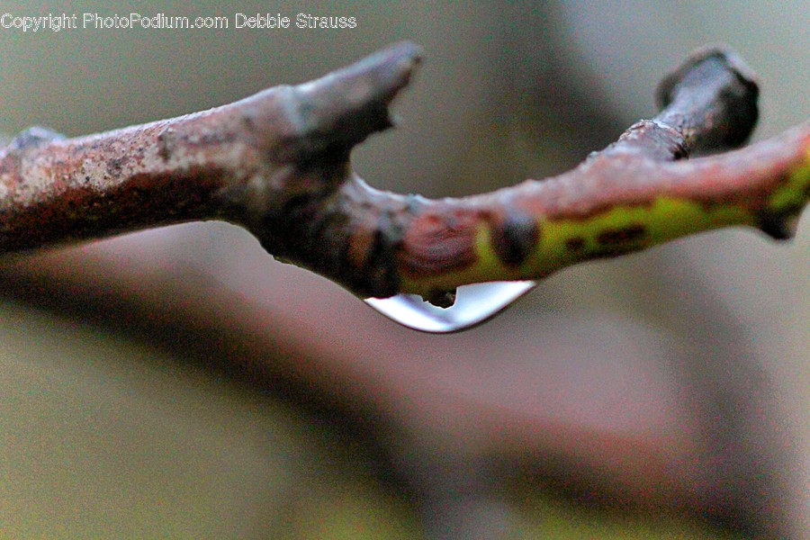 Ice, Outdoors, Nature, Clothing, Apparel