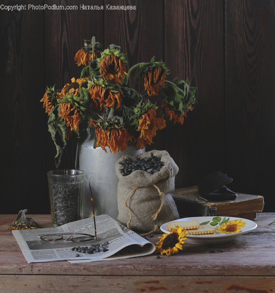 Furniture, Home Decor, Table, Plant, Wood