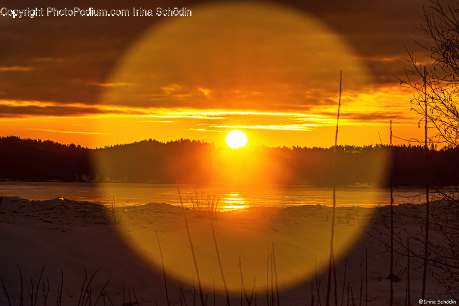 Flare, Light, Sunlight, Nature, Outdoors