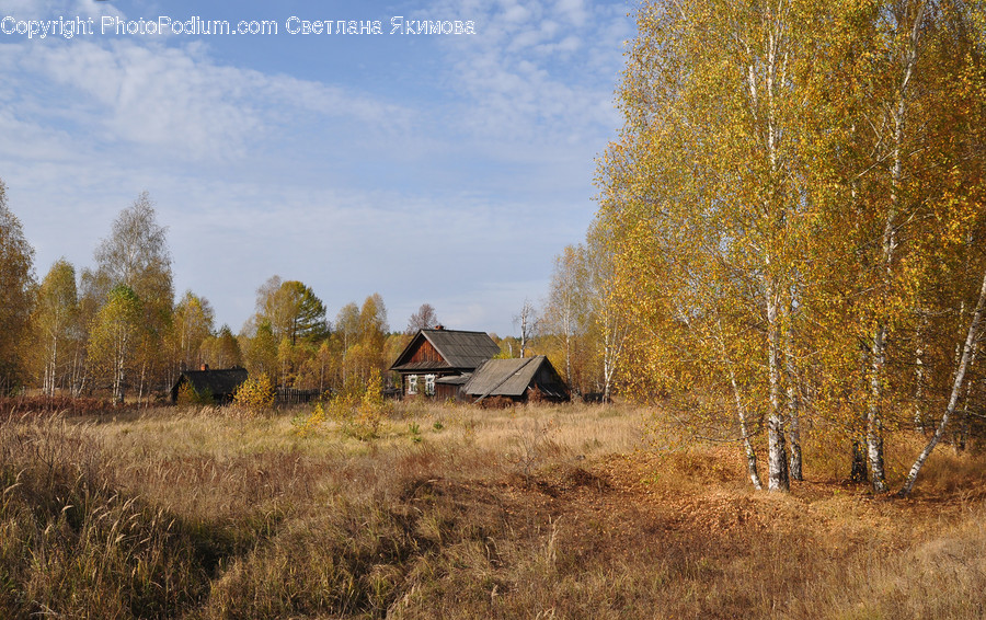 Nature, Outdoors, Building, Housing, Countryside