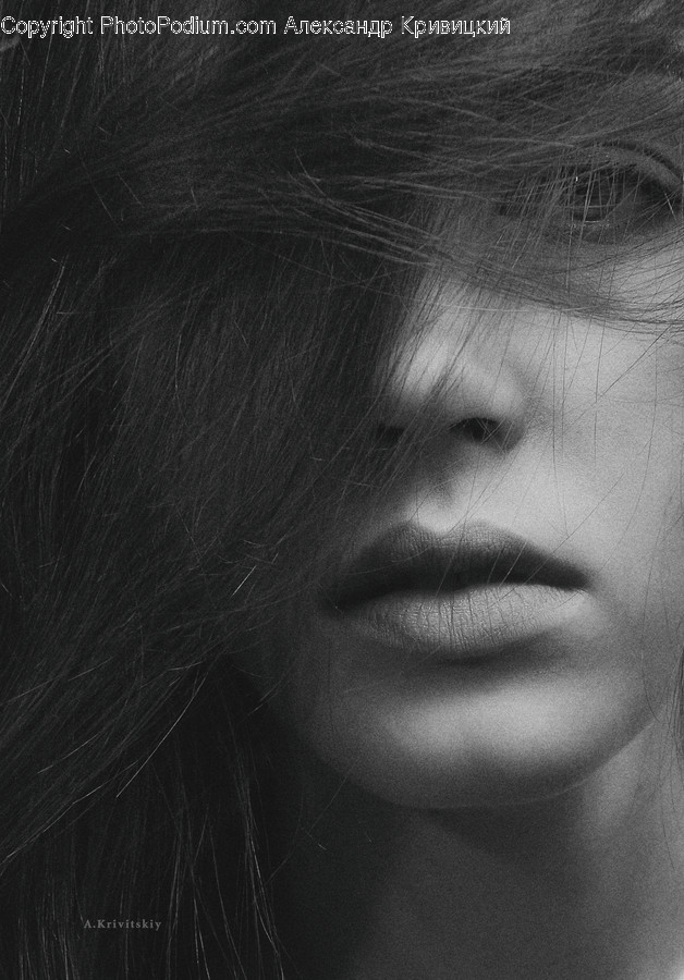 Head, Face, Person, Human, Skin