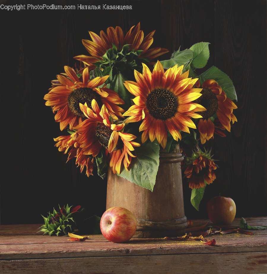 Plant, Flower, Blossom, Fruit, Food