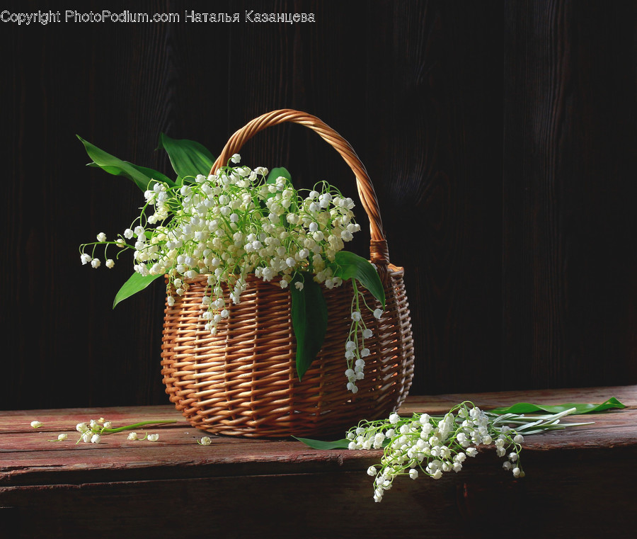 Basket, Plant, Shopping Basket