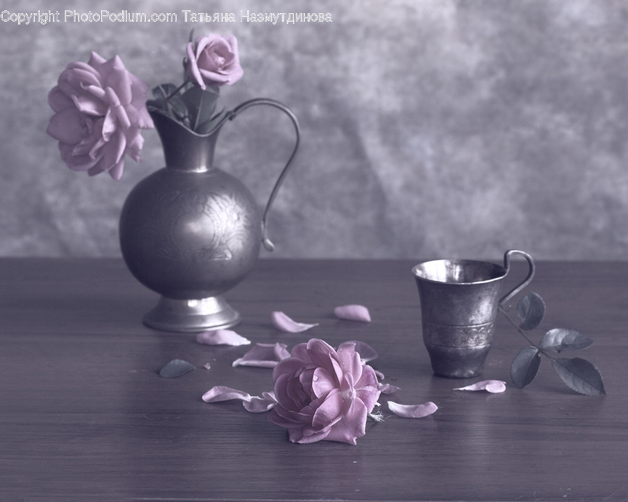 Plant, Flower, Blossom, Petal, Cup