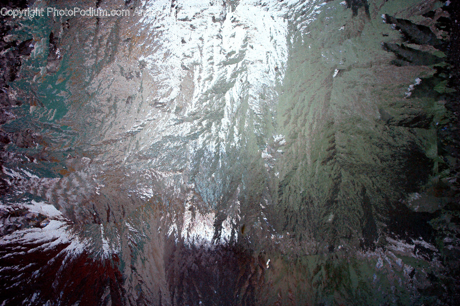 Tree, Plant, Outdoors, Ice, Nature