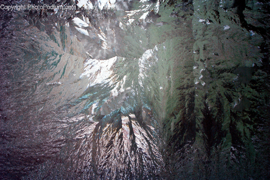 Nature, Outdoors, Tree, Plant, Fir