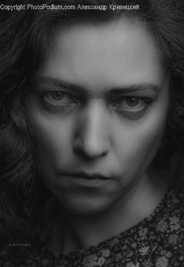 Face, Person, Human, Head, Portrait