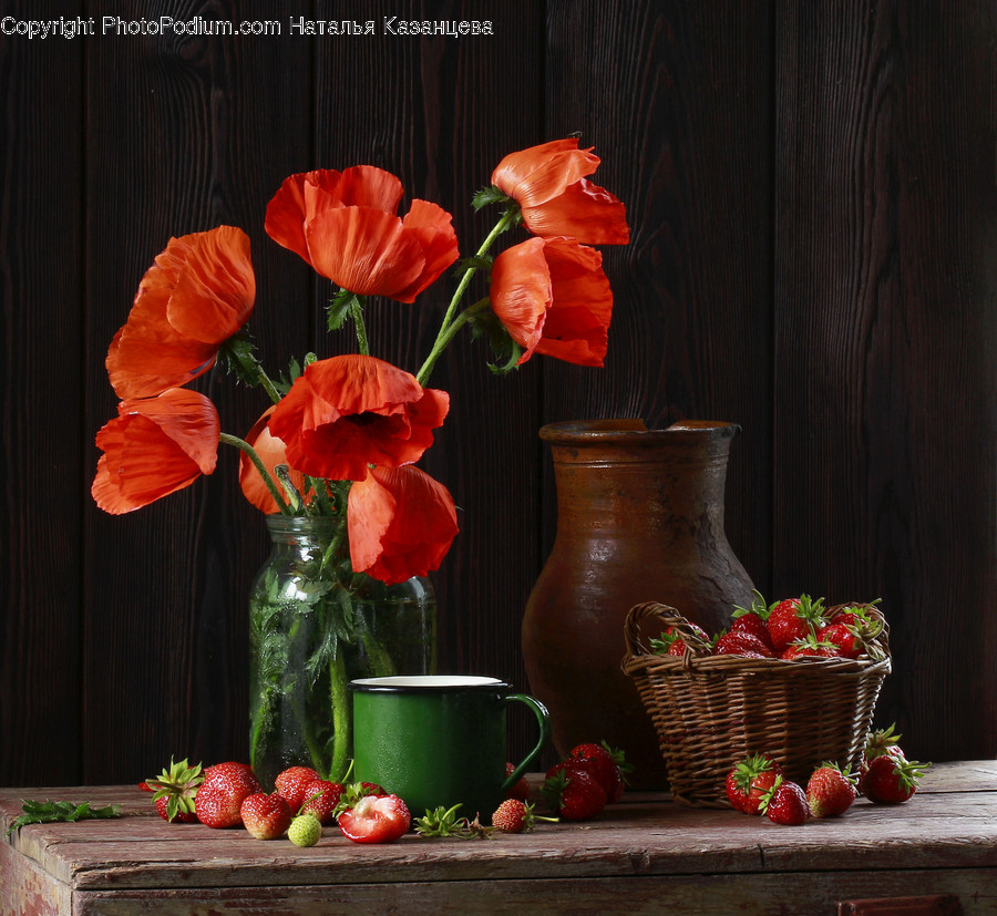 Plant, Flower, Blossom, Flower Arrangement, Flower Bouquet