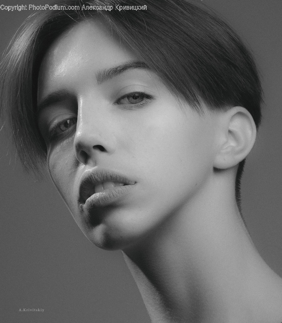 Face, Person, Human, Head, Portrait