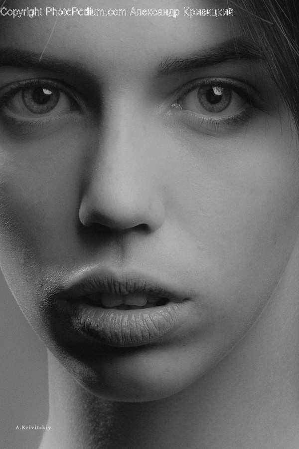 Face, Person, Human, Head, Portrait