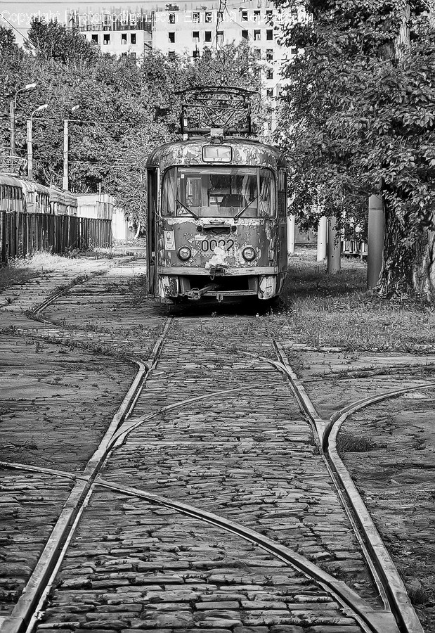Railway, Train Track, Rail, Transportation, Train