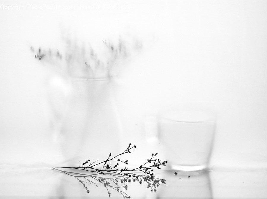 Coffee Cup, Cup, Saucer, Pottery, Plant