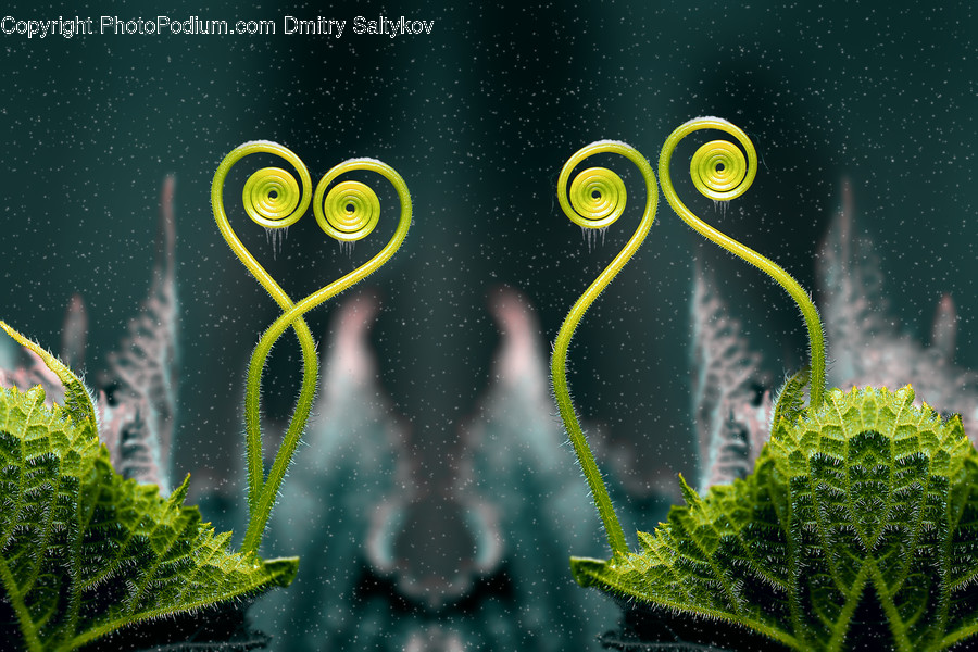 Green, Plant, Fern, Pattern, Vase