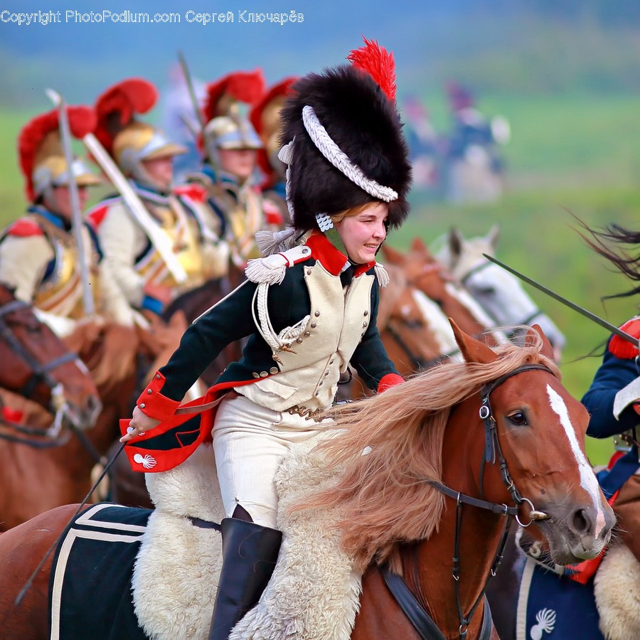 Person, Human, Horse, Mammal, Animal