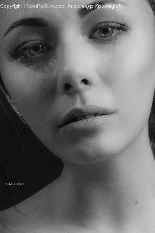 Face, Person, Human, Head, Portrait