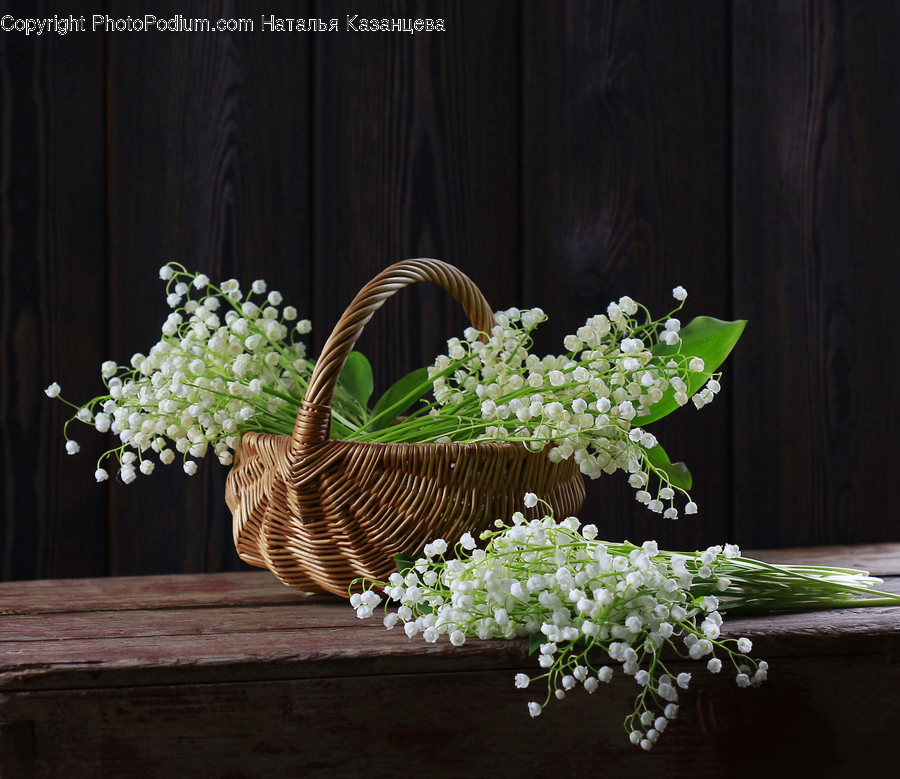 Plant, Basket, Flower, Blossom, Wood