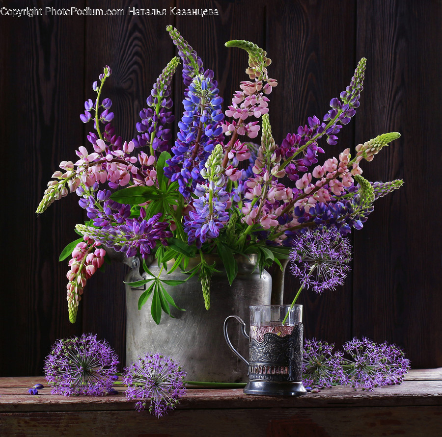 Plant, Flower, Blossom, Flower Arrangement, Ikebana