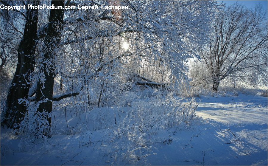 Landscape, Nature, Scenery, Frost, Ice, Outdoors, Snow